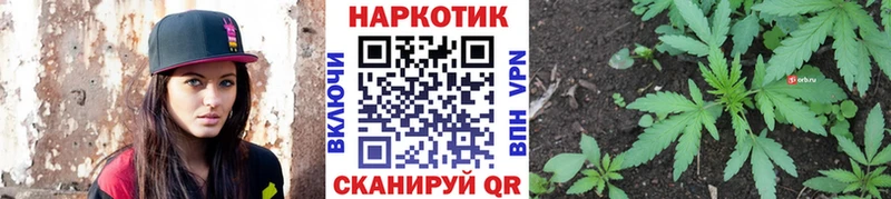 Где купить наркотики Калининград Cocaine  МЕТАДОН  Меф мяу мяу 