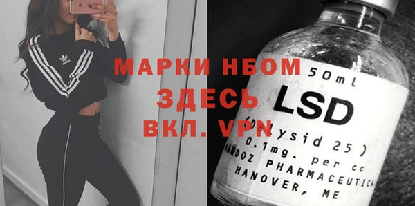стаф Зерноград