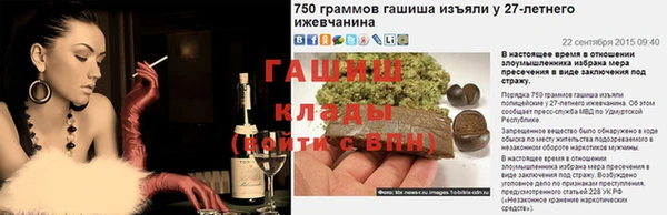стаф Зерноград