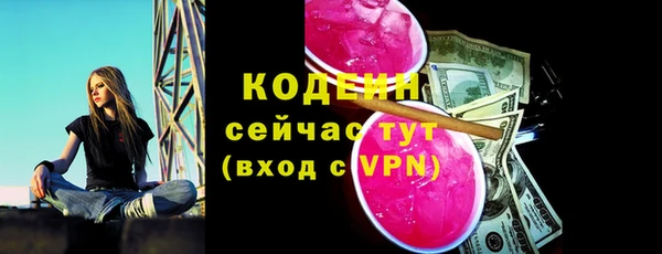 стаф Зерноград