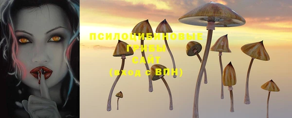 кокс Заводоуковск