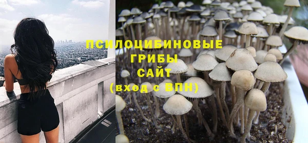 стаф Зерноград