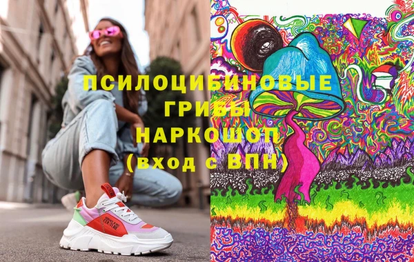 стаф Зерноград