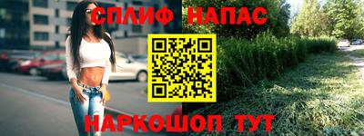 прущие грибы Изобильный