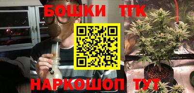 прущие грибы Изобильный