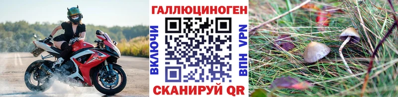 Галлюциногенные грибы Psilocybe  Калининград 