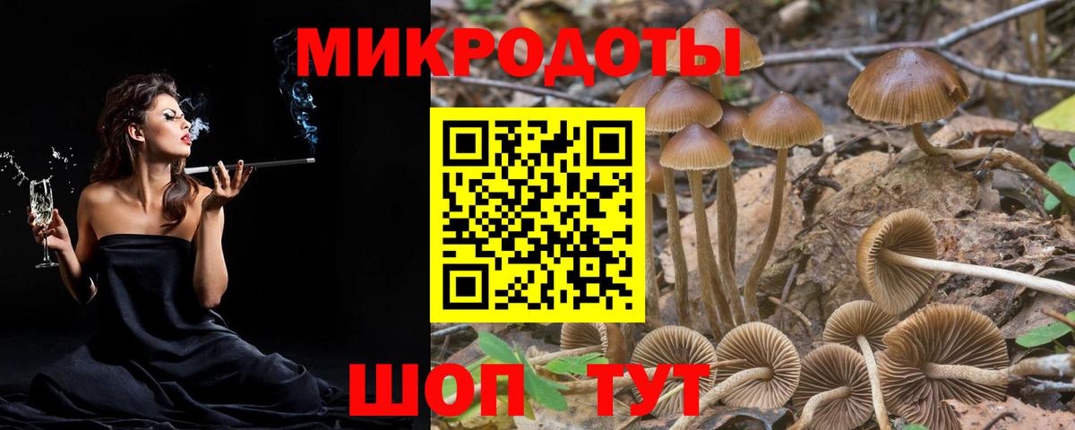 Псилоцибиновые грибы Magic Shrooms  где купить наркоту  Калининград  Вход с VPN 