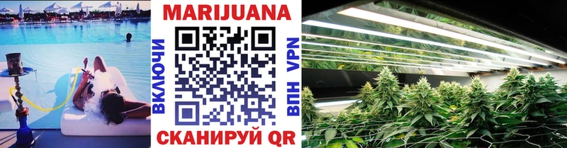 Каннабис планчик  Калининград 